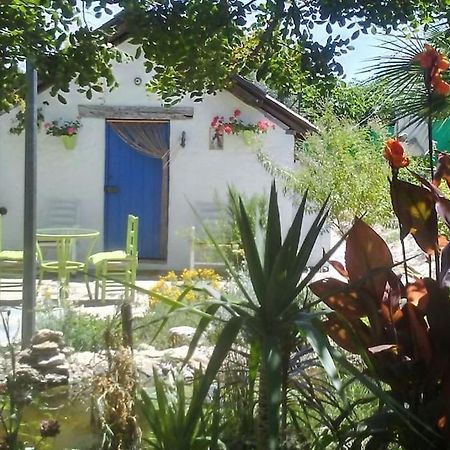 Vivienda Rural La Choza Villa Jerez de la Frontera Ngoại thất bức ảnh