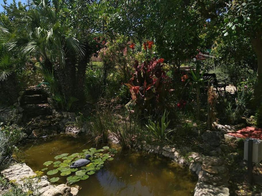 Vivienda Rural La Choza Villa Jerez de la Frontera Ngoại thất bức ảnh